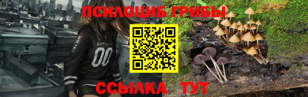 Каменск-Уральский  Галлюциногенные грибы мухоморы  Вход с VPN  Галлюциногенные грибы прущие грибы 