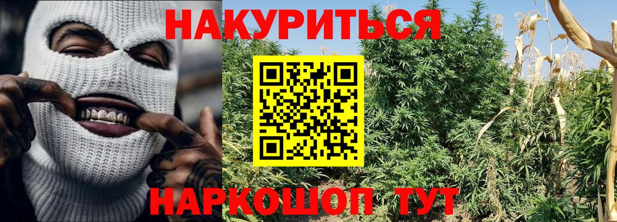 Каннабис Amnesia Каменск-Уральский